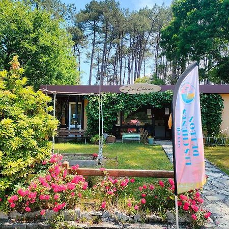 Village Vacances Les Chenes De Леон Екстер'єр фото