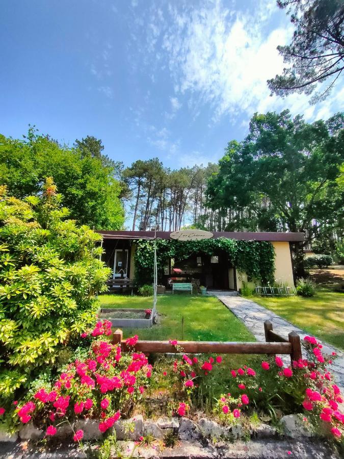 Village Vacances Les Chenes De Леон Екстер'єр фото